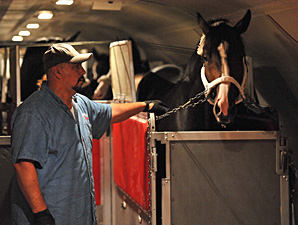 Flight Carrying BC Horses Able to Leave NY Flight Carrying BC Horses Able to Leave NY