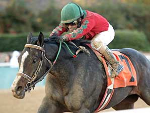 Flat Out The Best in Smarty Jones Stakes Flat Out The Best in Smarty Jones Stakes