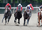2011 Woodward Stakes - Predict the Order 2011 Woodward Stakes - Predict the Order