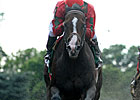 Blog:Diamonds in the Rough - by Lenny Shulman