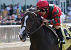 Multiple Grade I Winner Flat Out Retired Multiple Grade I Winner Flat Out Retired