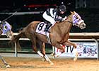 'Bea' Changes Tactics, Captures Sugar Maple 'Bea' Changes Tactics, Captures Sugar Maple