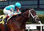 Champion Fleet Indian To Be Offered at Keeneland