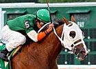 OTTB Spotlights: Fleet Valid and Farrah OTTB Spotlights: Fleet Valid and Farrah