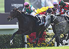 Flintshire Shines in Hong Kong Vase Victory Flintshire Shines in Hong Kong Vase Victory