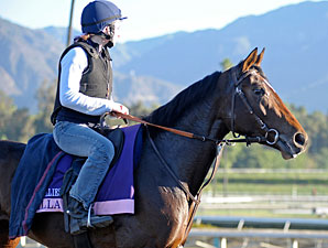 Euros Arrive, Take to Track at Breeders' Cup