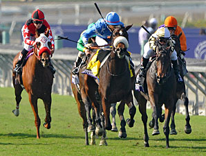 Flotilla Flies Home in Juvenile Fillies Turf Flotilla Flies Home in Juvenile Fillies Turf