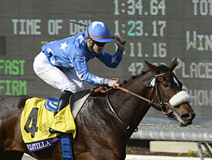 Olympic Glory, Flotilla Set for Longchamp Olympic Glory, Flotilla Set for Longchamp
