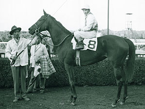 Ladies Handicap Long on History Ladies Handicap Long on History