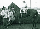Ladies Handicap Long on History Ladies Handicap Long on History