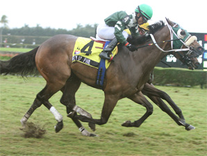 Fly By Phil Scores Big Win for 2nd-Year Sire Fly By Phil Scores Big Win for 2nd-Year Sire