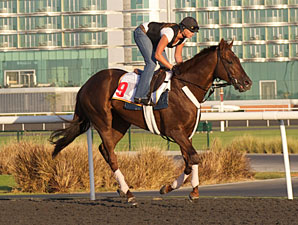 $38 million Dubai Carnival Begins $38 million Dubai Carnival Begins