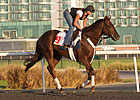 International Field Set for Dubai World Cup International Field Set for Dubai World Cup