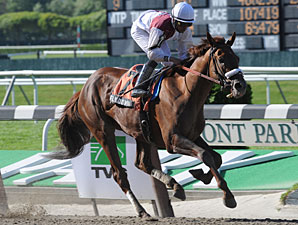 Fly Down, Stay Put Tune Up for Belmont Stakes Fly Down, Stay Put Tune Up for Belmont Stakes
