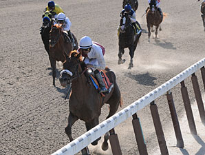 Fly Down and Game On Dude on Belmont Hunt Fly Down and Game On Dude on Belmont Hunt