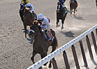 Fly Down and Game On Dude on Belmont Hunt Fly Down and Game On Dude on Belmont Hunt
