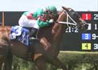 Flying Circle Sweeps to Calder Distaff Turf Sprint Win Flying Circle Sweeps to Calder Distaff Turf Sprint Win