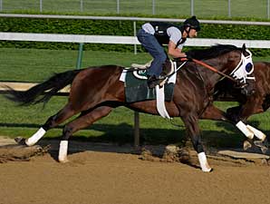 Luv Gov, Flying Private Belmont Bound Luv Gov, Flying Private Belmont Bound
