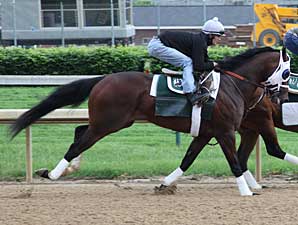 'General' and 'Private' in Preakness Works 'General' and 'Private' in Preakness Works