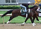 'General' and 'Private' in Preakness Works