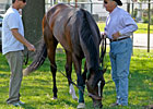 Haskin's Belmont Report: The D. Wayne Reign