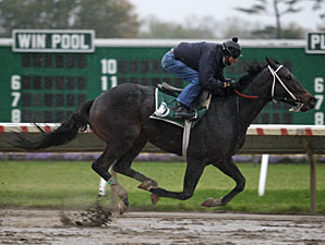 horse racing 