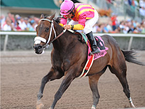Force Freeze Dazzles in GP Sprint 