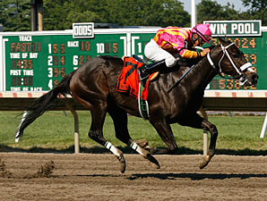 horse racing 