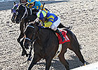 Fordubai Upsets Louisiana Handicap at 7-1 Fordubai Upsets Louisiana Handicap at 7-1