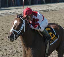 Forest Danger Handles Blazing Carter Pace Forest Danger Handles Blazing Carter Pace