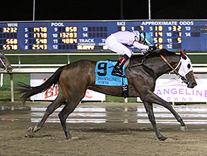 Forest Lake, Waha Wild Win Evangeline Stakes Forest Lake, Waha Wild Win Evangeline Stakes