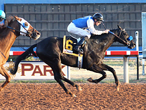Zia Park Reschedules Stakes for Nov. 27 Zia Park Reschedules Stakes for Nov. 27