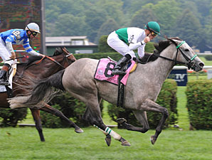 Female Turf Eclipse: Forever Together Female Turf Eclipse: Forever Together