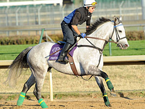 Forever Together Preps for Third F&M Turf Forever Together Preps for Third F&M Turf