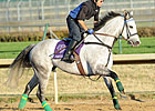 Forever Together Preps for Third F&M Turf