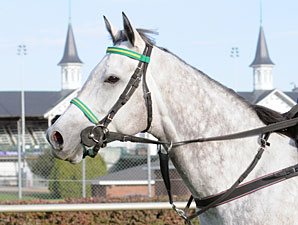 Champion Forever Together Retired Champion Forever Together Retired