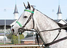 Champion Forever Together Retired Champion Forever Together Retired