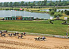 Fort Erie to Race in 2014, Horsemen Say Fort Erie to Race in 2014, Horsemen Say