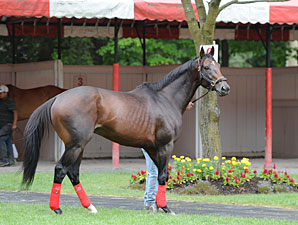Fort Larned to Prep for BC Classic at CD Fort Larned to Prep for BC Classic at CD