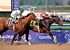 Slideshow: 2012 Breeders' Cup - Day 2
