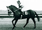 Slideshow: Great Geldings Slideshow: Great Geldings