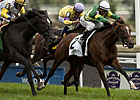 GI Winner Forte Dei Marmi Heads Elkhorn GI Winner Forte Dei Marmi Heads Elkhorn