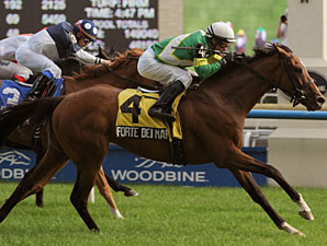 Forte Dei Marmi After 3rd Straight in 'Dancer Forte Dei Marmi After 3rd Straight in 'Dancer