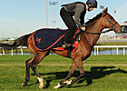 Forte Dei Marmi Stretching Out in Sky Classic