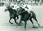 Cigar Mile as 'Stallion Maker' Cigar Mile as 'Stallion Maker'