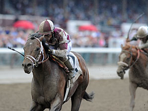 Forty Tales Tallies with Strong Amsterdam Run Forty Tales Tallies with Strong Amsterdam Run