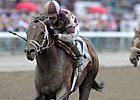 Forty Tales Tallies with Strong Amsterdam Run Forty Tales Tallies with Strong Amsterdam Run