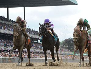Pletcher, Zito Colts Rematch in Amsterdam Pletcher, Zito Colts Rematch in Amsterdam