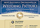 Foundation Mares: Wedding Picture Foundation Mares: Wedding Picture