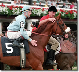 Sultan of Saratoga: Remembering Fourstardave Sultan of Saratoga: Remembering Fourstardave
